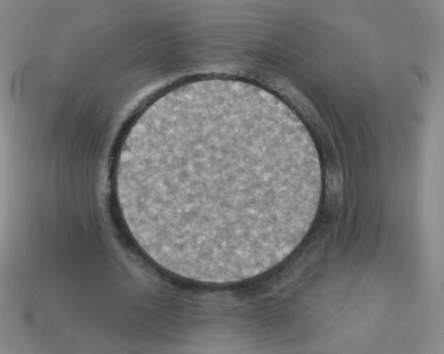 X0000113230628200910221040