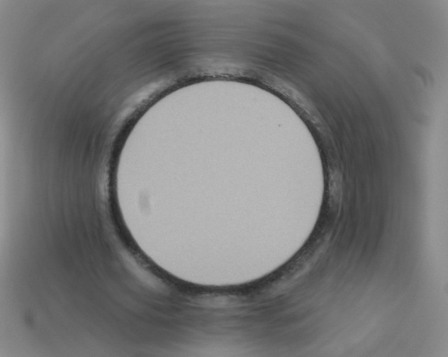 X0000113230629200910221040