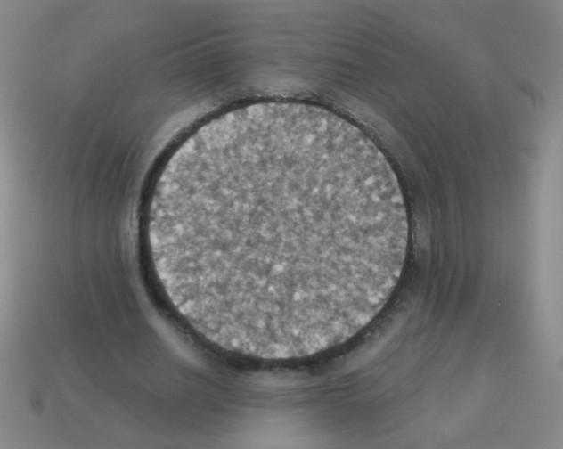 X0000113230630200910221040