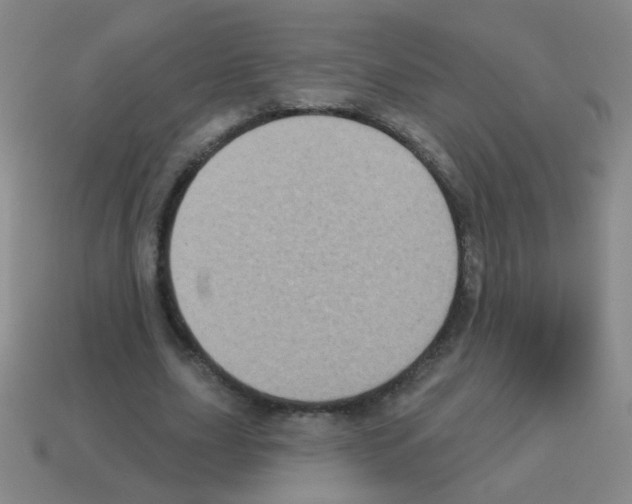 X0000113230631200910221040