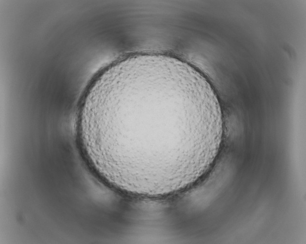 X0000113230632200910221040