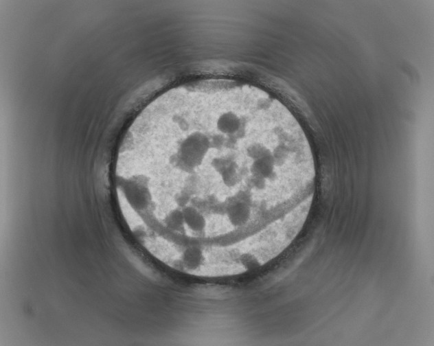 X0000113230633200910221040