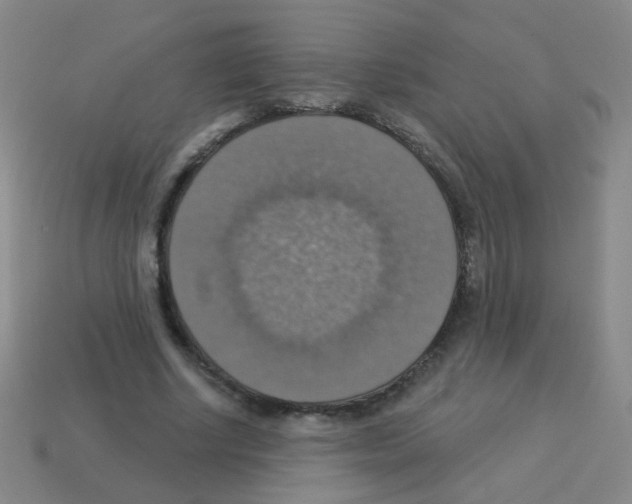 X0000113230634200910221040