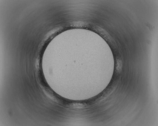 X0000113230636200910221040