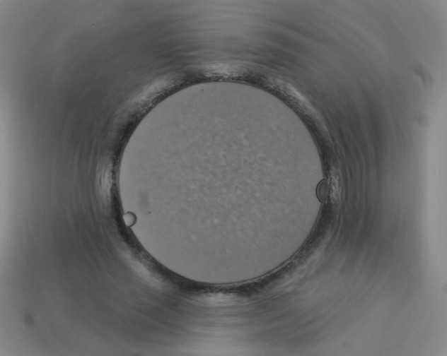 X0000113230637200910221040