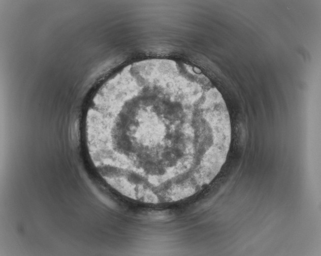 X0000113230638200910221040