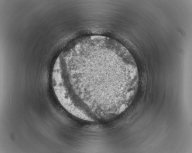 X0000113230639200910221040