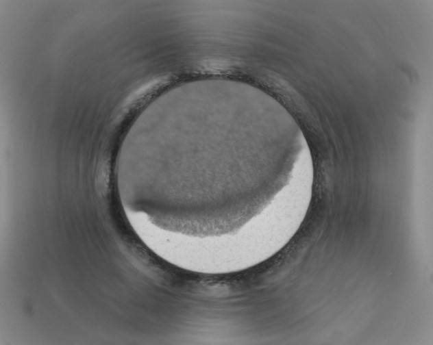 X0000113230640200910221040