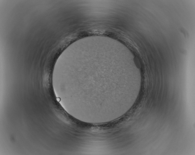 X0000113230641200910221040