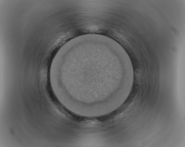 X0000113230642200910221040