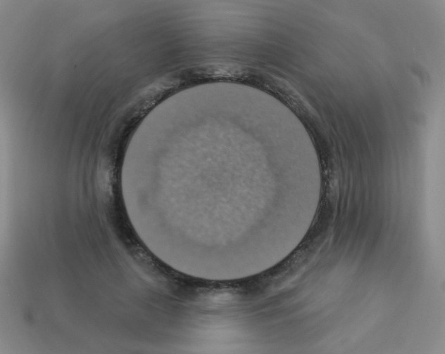 X0000113230643200910221040