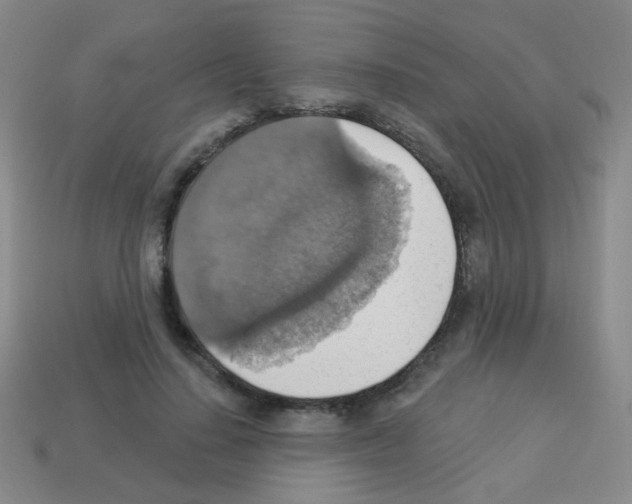 X0000113230644200910221040