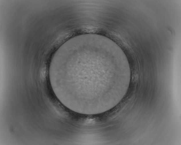 X0000113230647200910221040