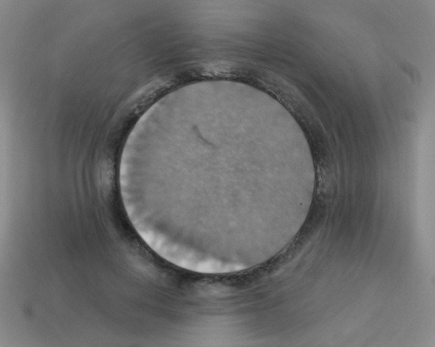 X0000113230648200910221040