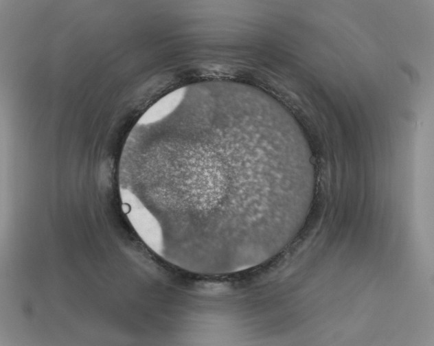 X0000113230649200910221040