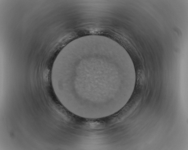 X0000113230650200910221040