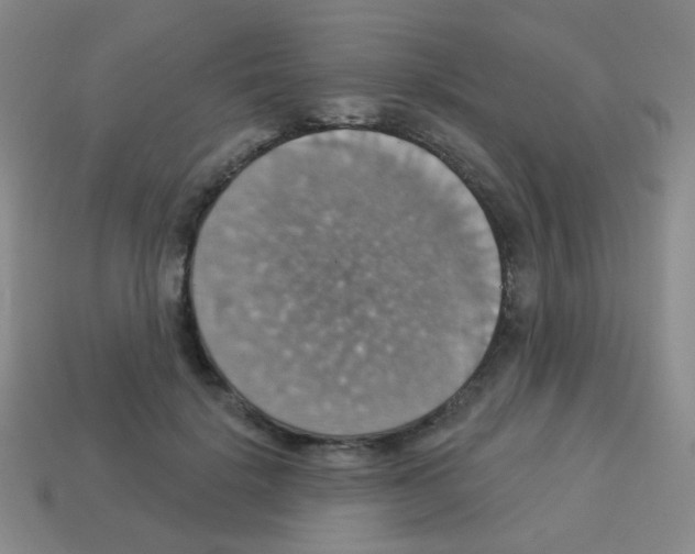 X0000113230652200910221040