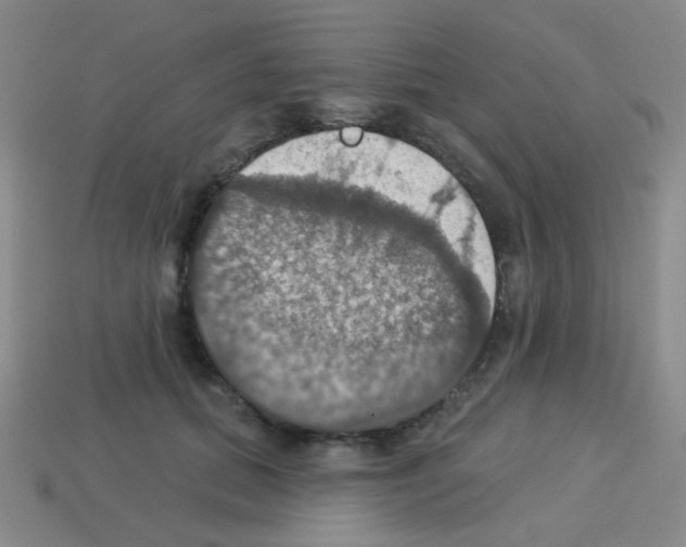 X0000113230655200910221040