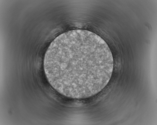 X0000113230656200910221040