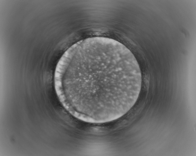 X0000113230657200910221040