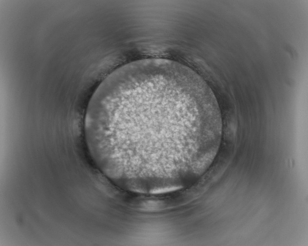 X0000113230658200910221040