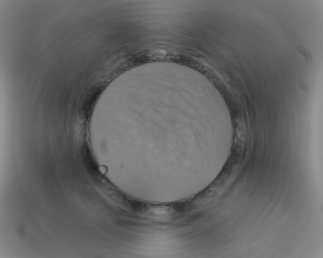 X0000113230659200910221040