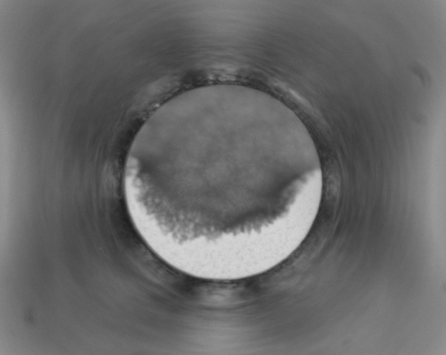 X0000113230661200910221040