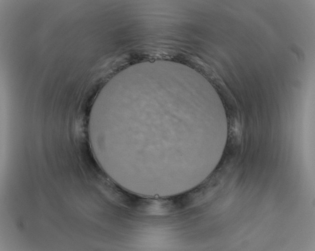 X0000113230663200910221040