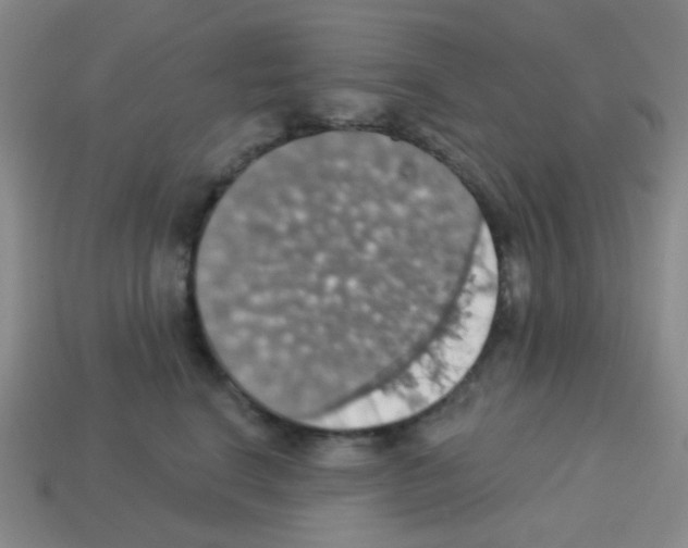 X0000113230664200910221040