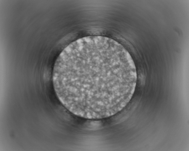 X0000113230665200910221040