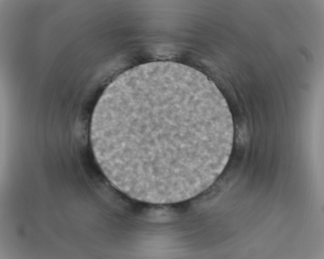 X0000113230666200910221040