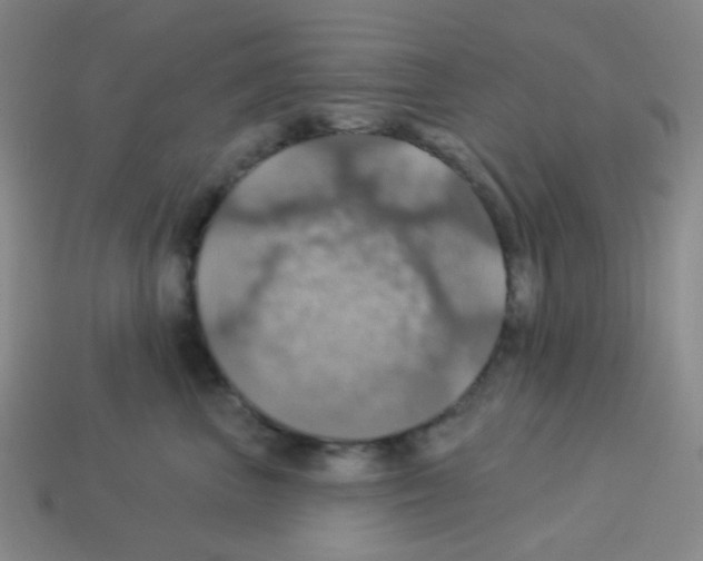 X0000113230667200910221040