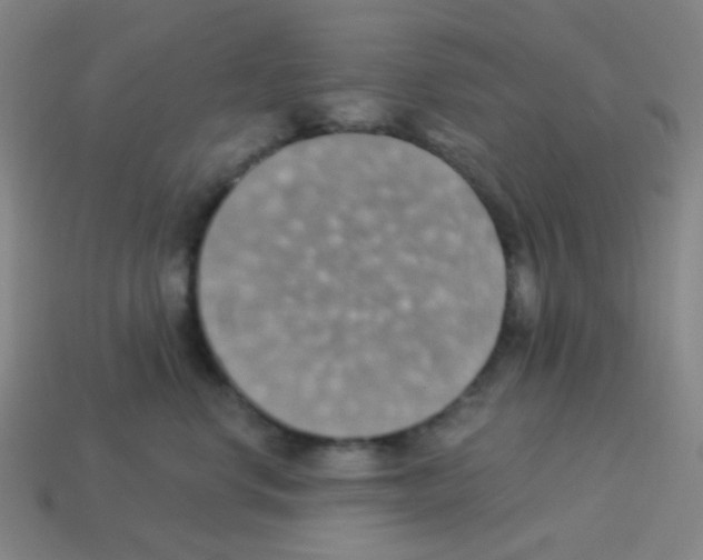 X0000113230668200910221040