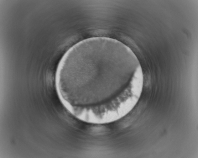 X0000113230669200910221040