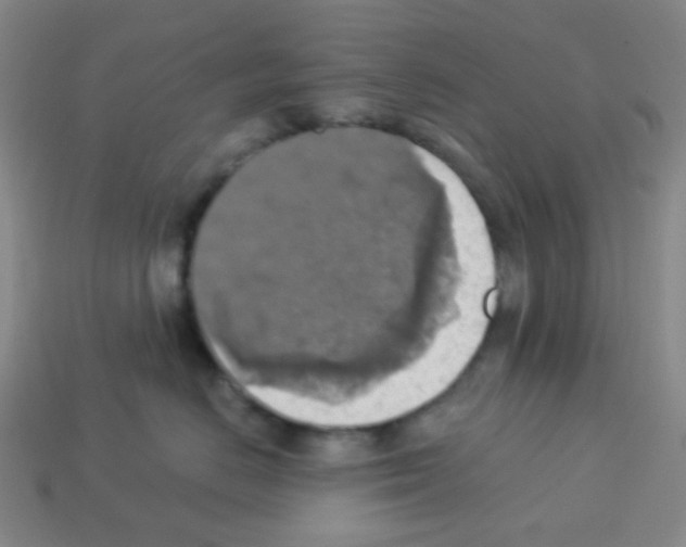 X0000113230670200910221040