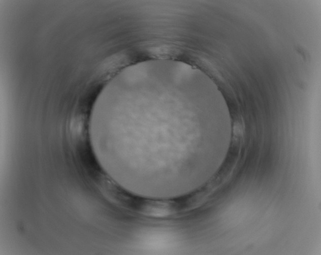 X0000113230671200910221040