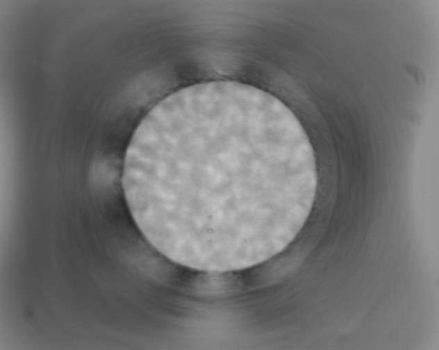 X0000113230672200910221040