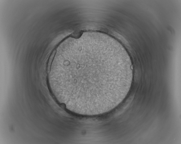 X0000113230673200910221040