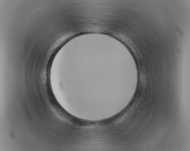 X0000113230674200910221040