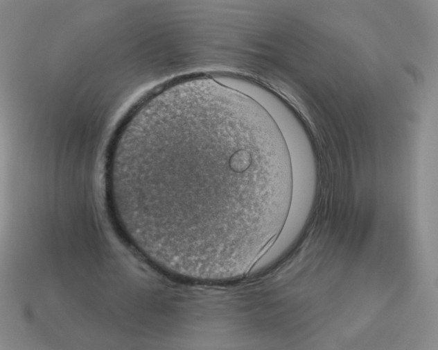 X0000113230676200910221040