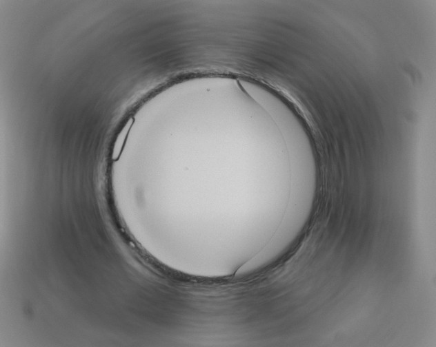 X0000113230677200910221040