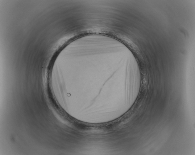 X0000113230678200910221040