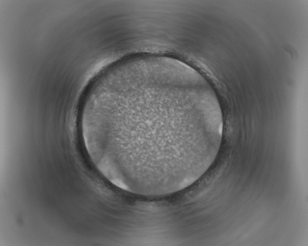 X0000113230679200910221040