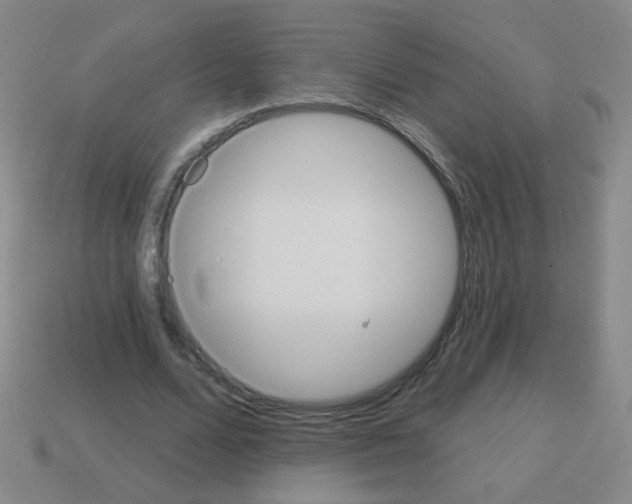 X0000113230680200910221040