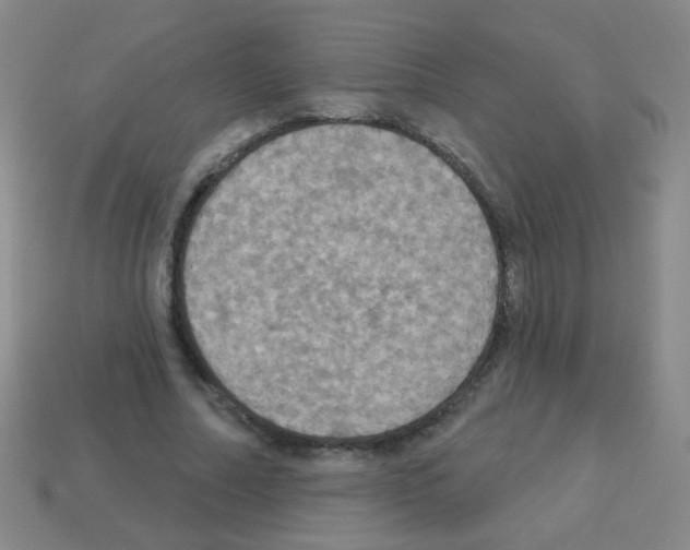 X0000113230682200910221040