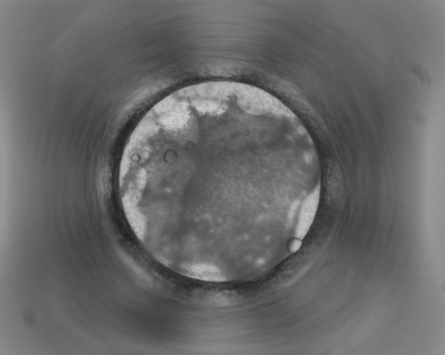 X0000113230683200910221040