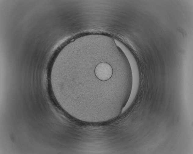 X0000113230684200910221040