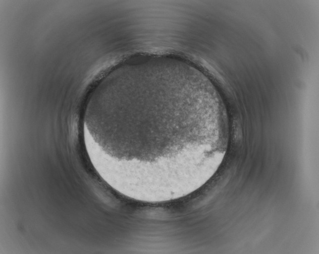 X0000113230685200910221040