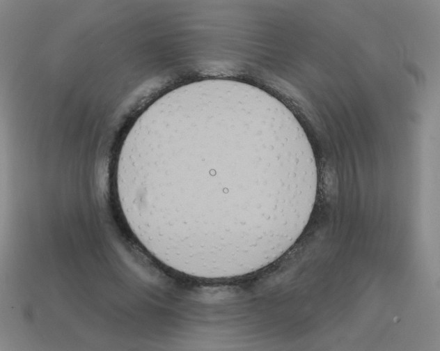 X0000113230686200910221040