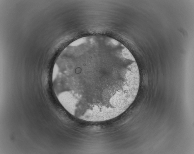 X0000113230687200910221039